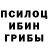 Псилоцибиновые грибы мицелий Olgita Chanel