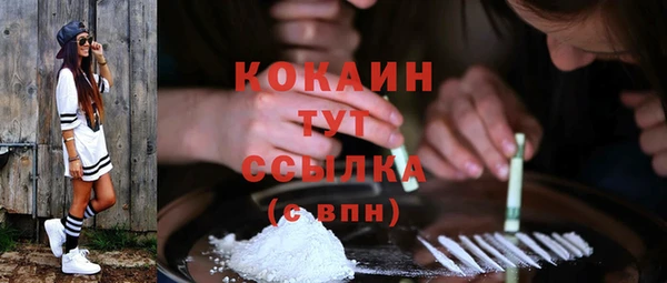 первитин Новозыбков